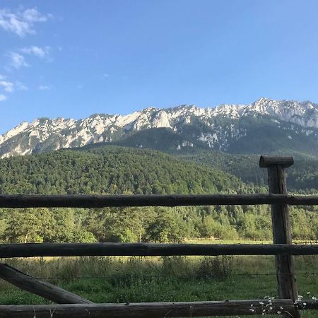 Pensiunea Kyfana Zărneşti Екстериор снимка