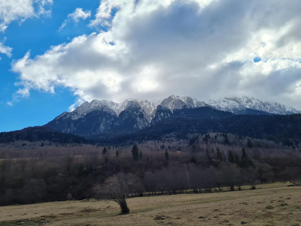 Pensiunea Kyfana Zărneşti Екстериор снимка