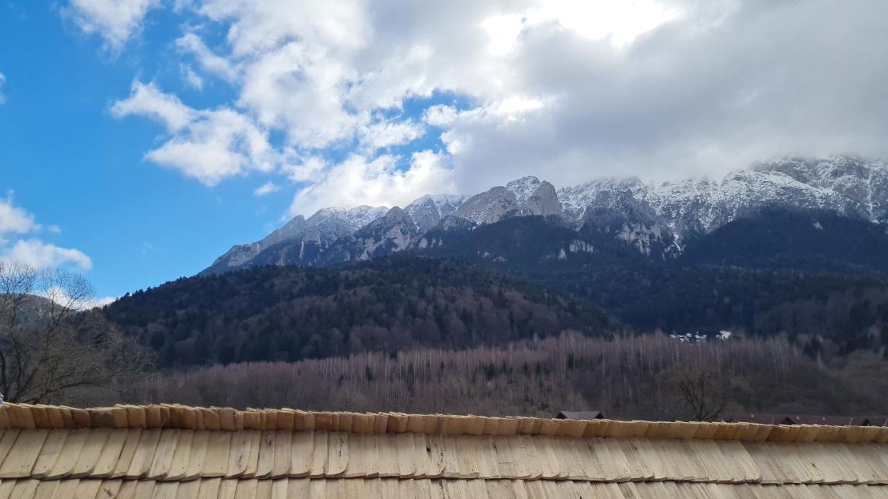 Pensiunea Kyfana Zărneşti Екстериор снимка