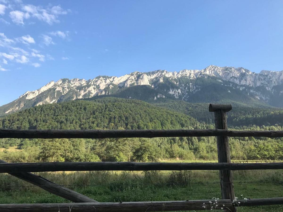 Pensiunea Kyfana Zărneşti Екстериор снимка